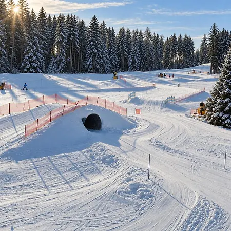 Apartment Lipno Family Lipno nad Vltavou