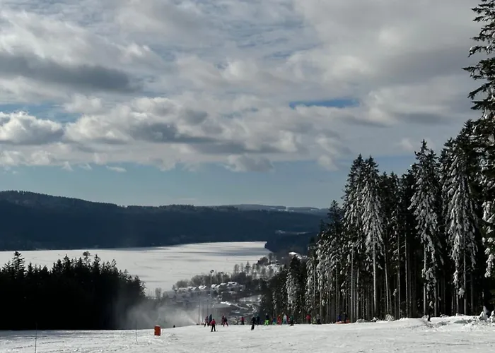 Lipno Family