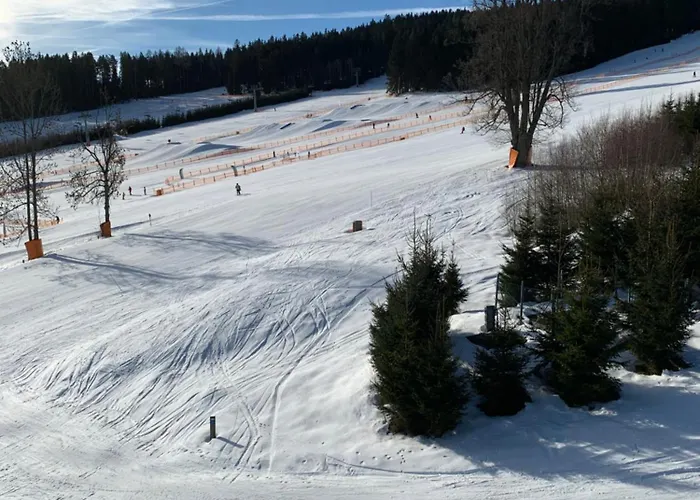 Lipno Family 公寓 伏尔塔瓦河畔利普诺