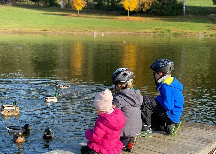 Lipno Family 伏尔塔瓦河畔利普诺